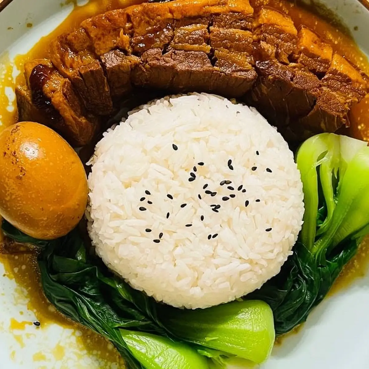 braised pork belly on rice 卤肉饭